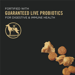 Purina Pro Plan High Protein Puppy Food showing shredded blend texture to entice picky eaters