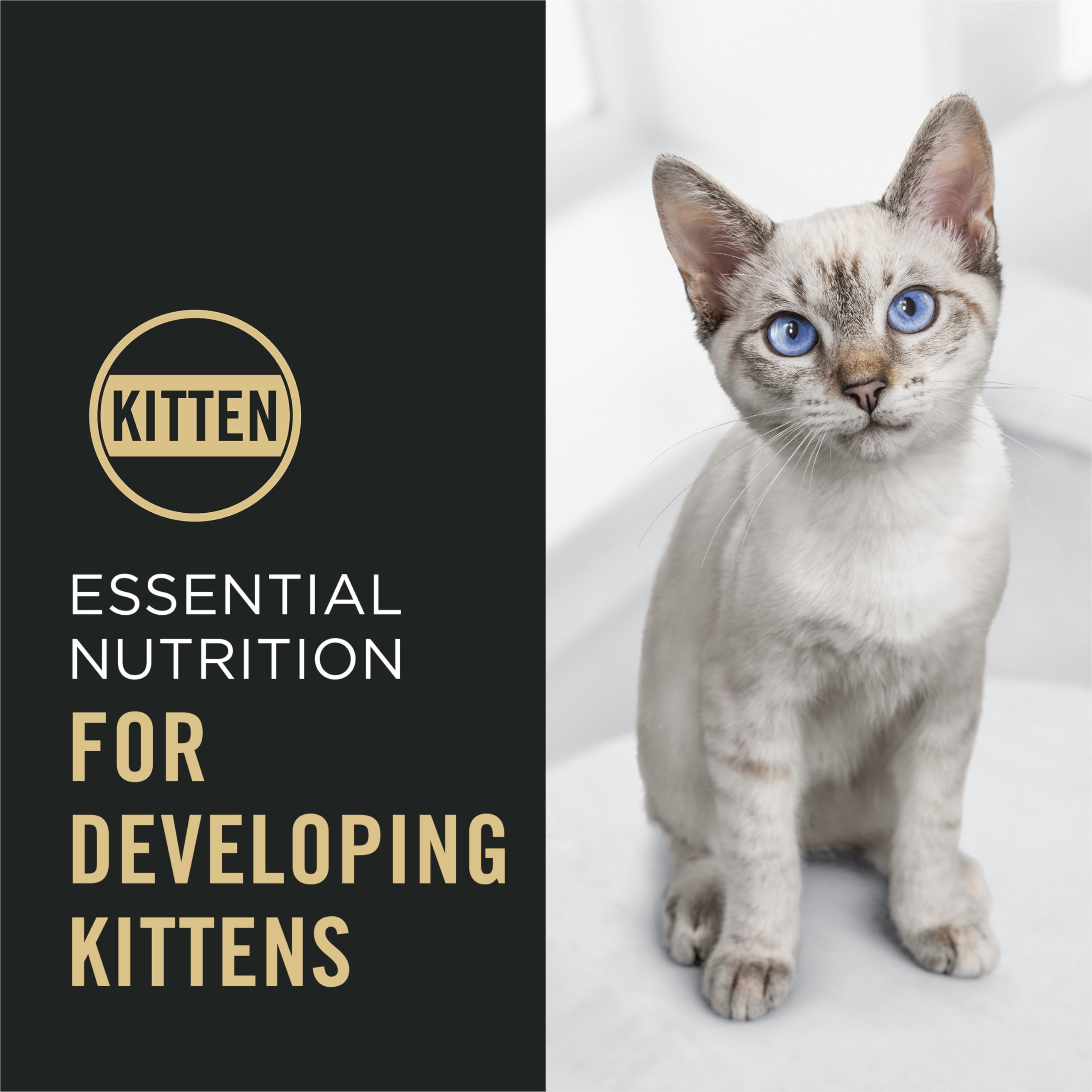 Purina Pro Plan dha-brain-vision supports cognitive development and alertness.
