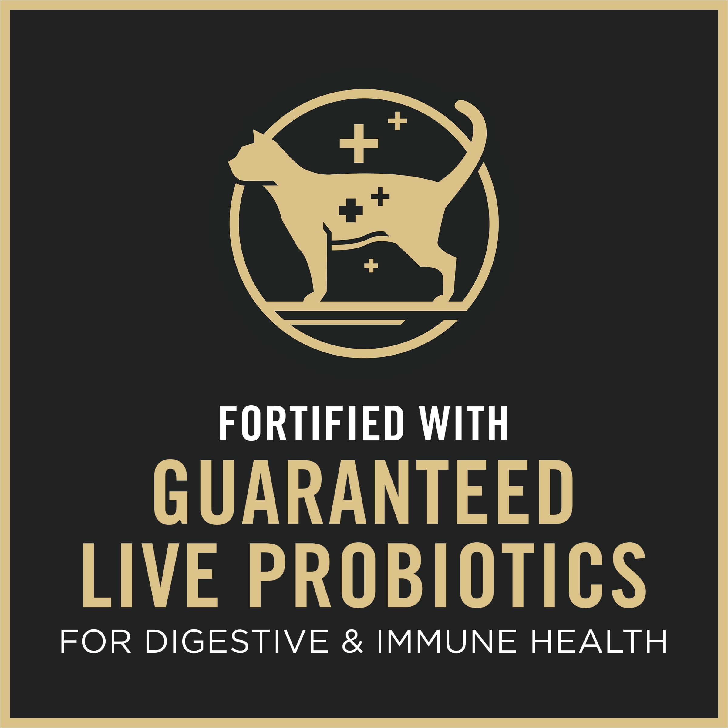 Purina Pro Plan Kitten DHA supports brain and vision development.
