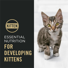 Purina Pro Plan Kitten shredded bites add texture during meals.