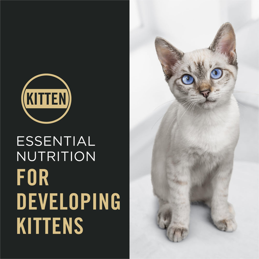 Purina Pro Plan Kitten omega-6 and vitamin A support healthy skin and coat.
