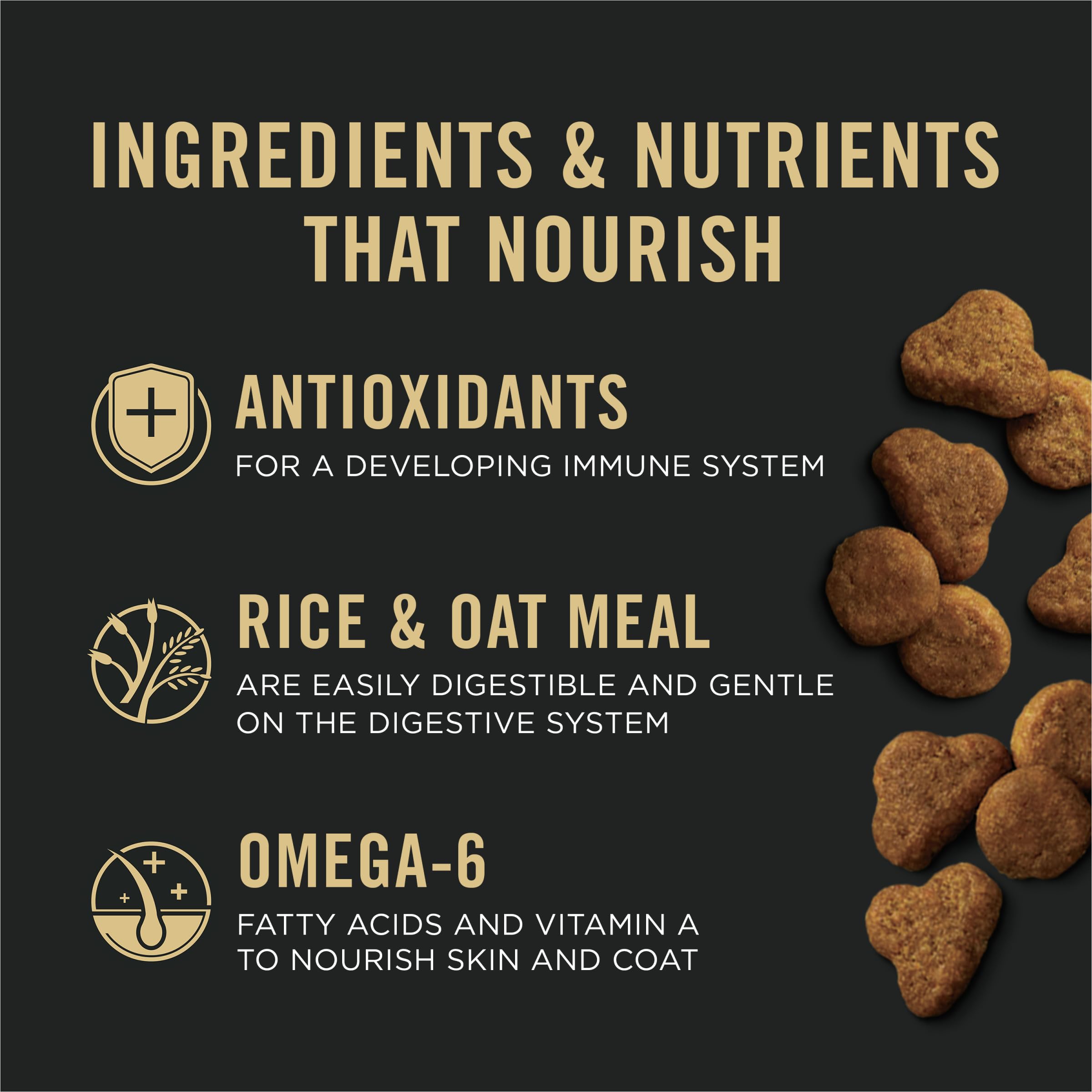 Purina Pro Plan kitten salmon and rice calcium and phosphorus image highlights bone health