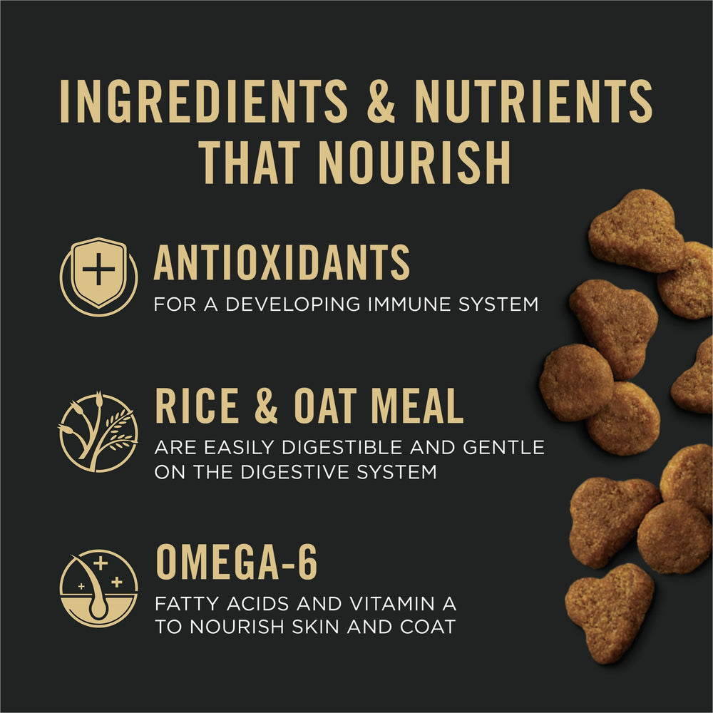 Purina Pro Plan kitten salmon and rice calcium and phosphorus image highlights bone health