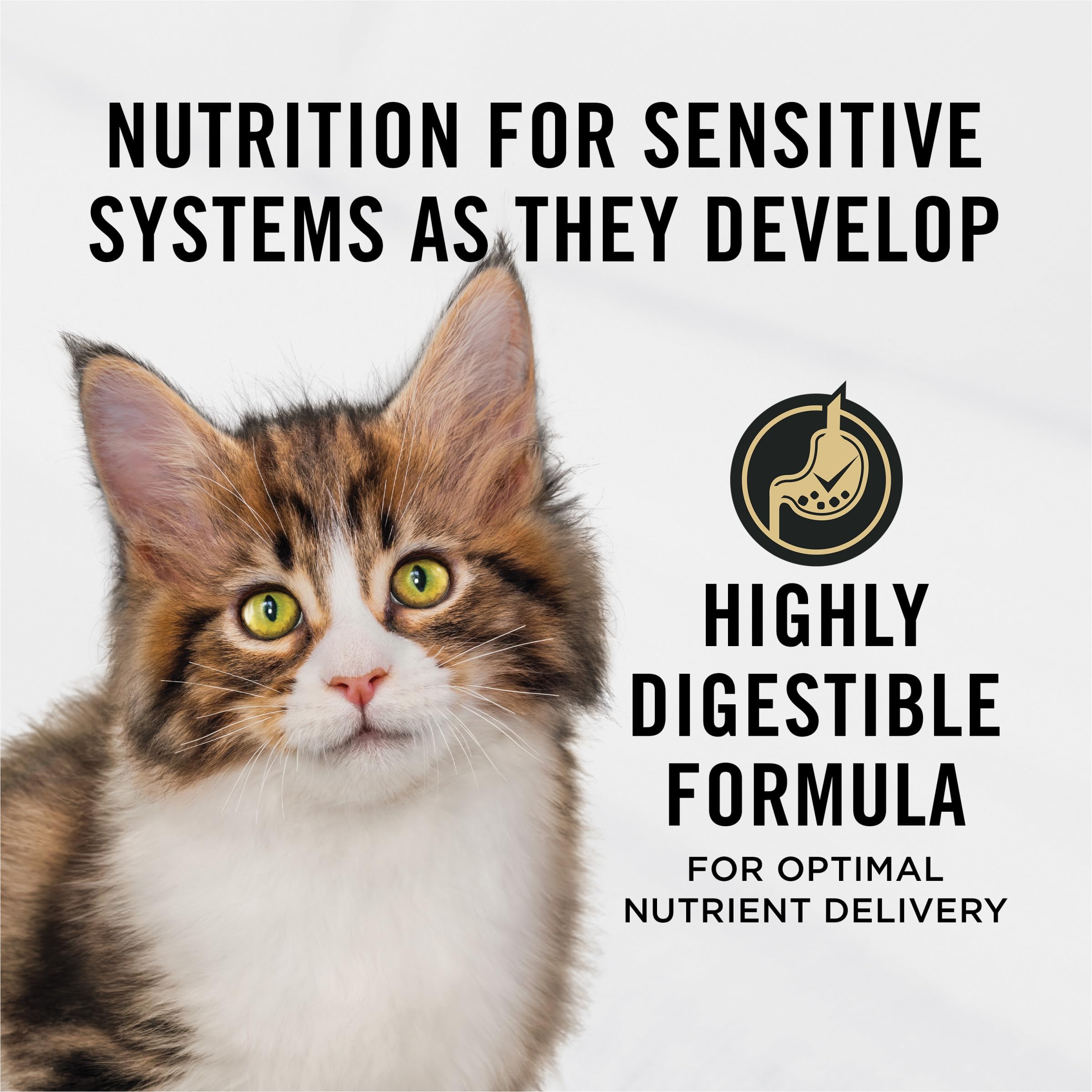 Purina Pro Plan kitten salmon and rice with real salmon ingredient highlights premium nutrition