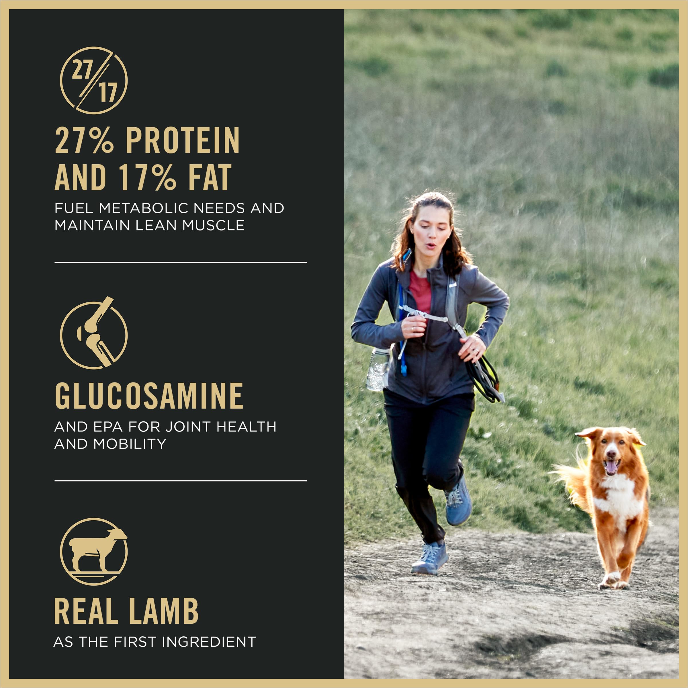 Purina Pro Plan kibble close-up showing lamb as the first ingredient.