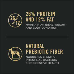 Closeup of Purina Pro Plan large-breed kibble highlighting protein-rich formula