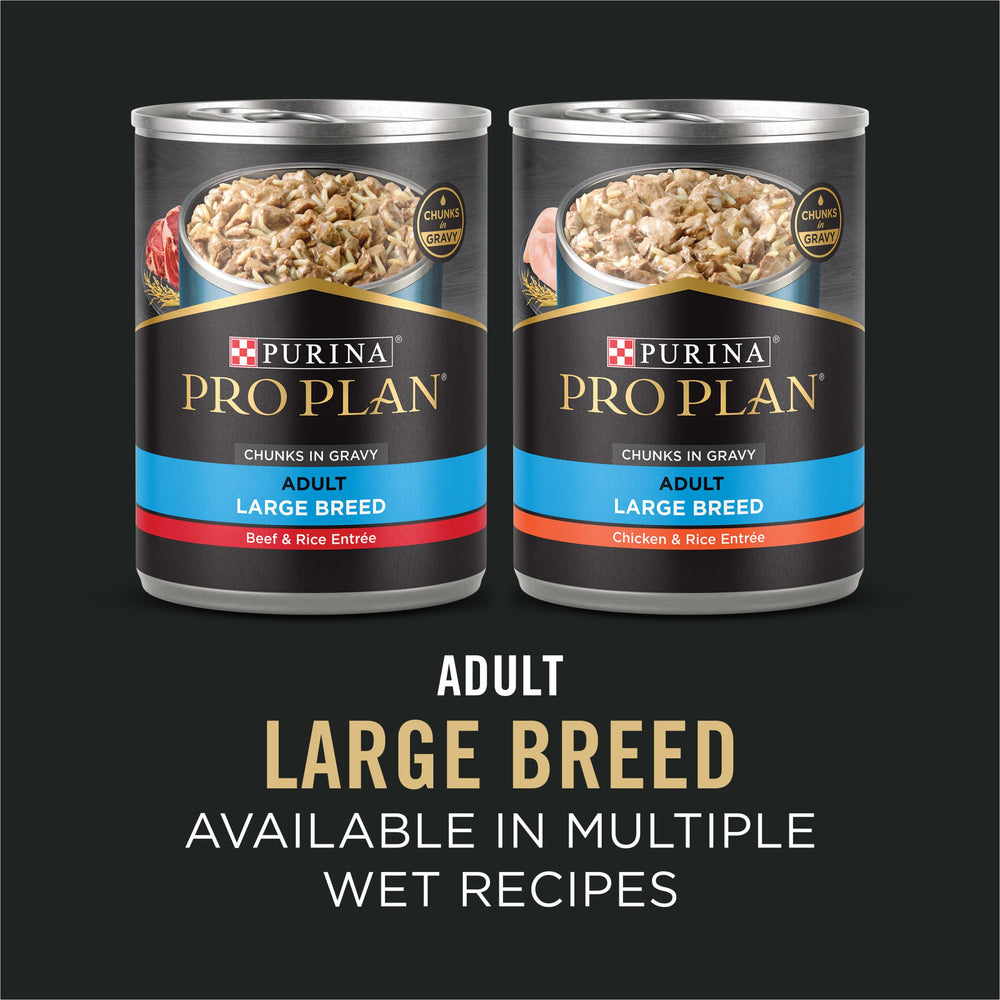 Purina Pro Plan Large Breed coat health illustration highlighting omega-6 and vitamin A.