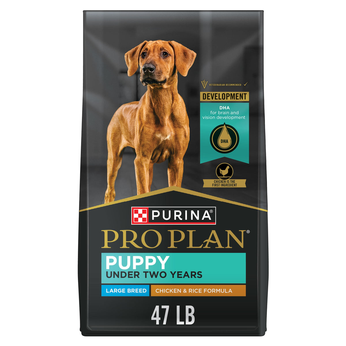 Purina Pro Plan Large Breed Puppy bowl serving highlights real chicken for balanced muscle support.