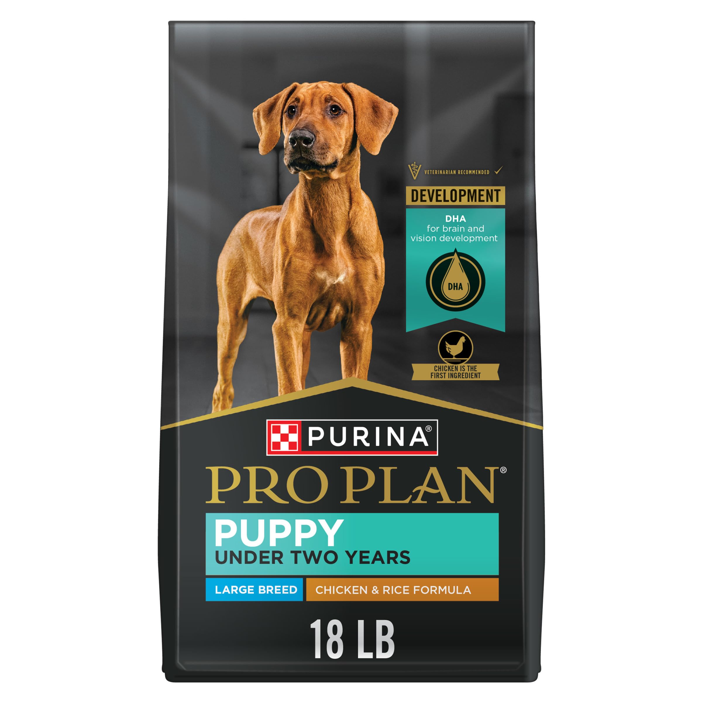 Purina Pro Plan large-breed puppy kibble in bowl supports growth with real chicken