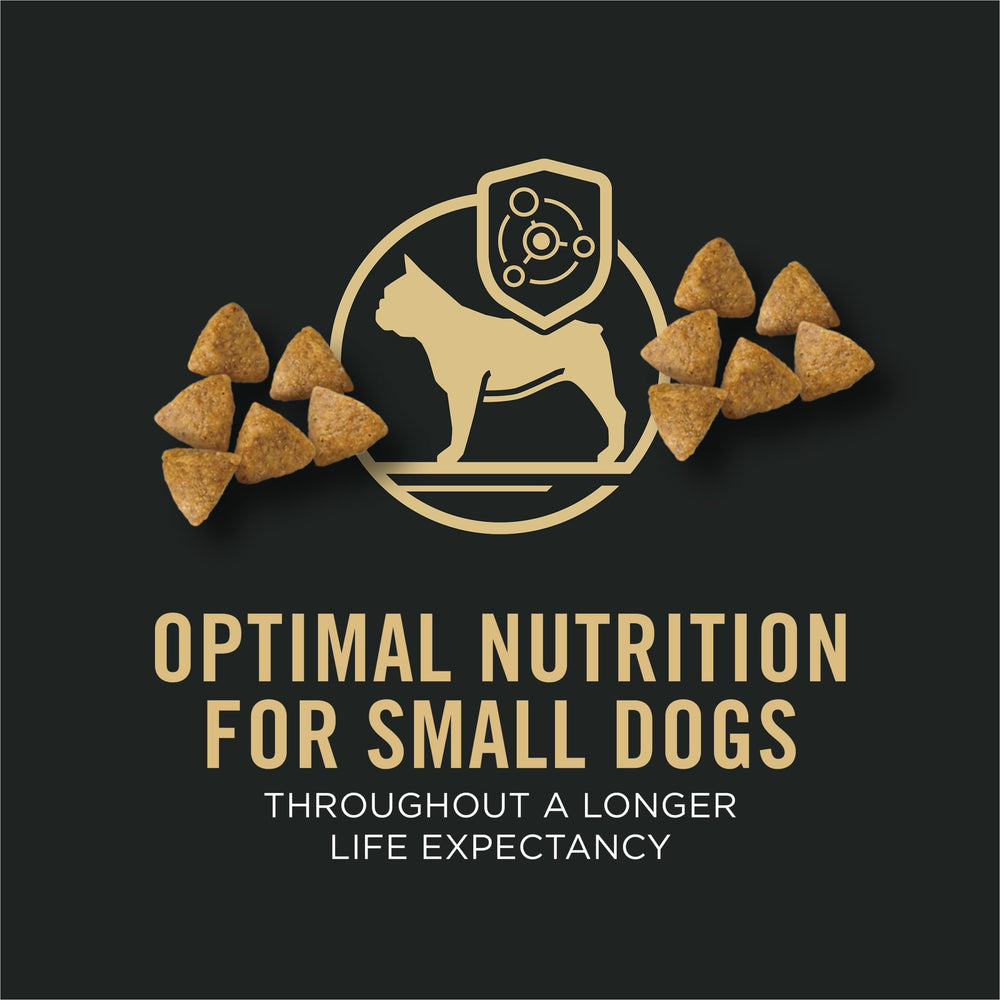 Purina Pro Plan probiotics icon indicating digestive and immune benefits