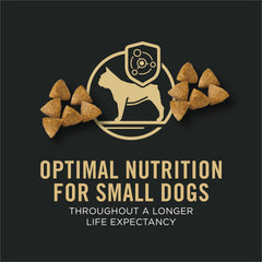 Purina Pro Plan probiotics icon indicating digestive and immune benefits