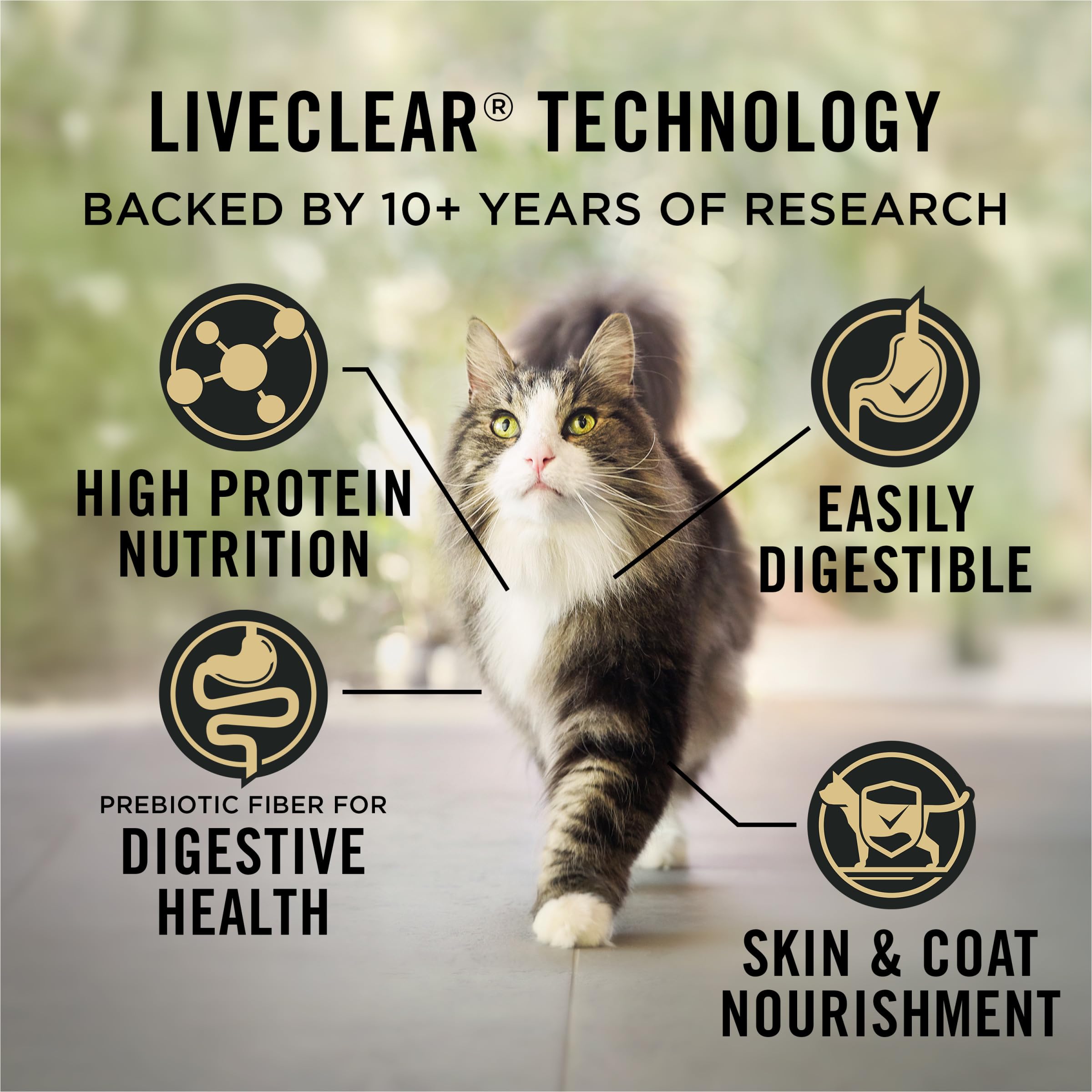 LIVECLEAR bag on kitchen counter highlights allergen-reducing cat food concept.