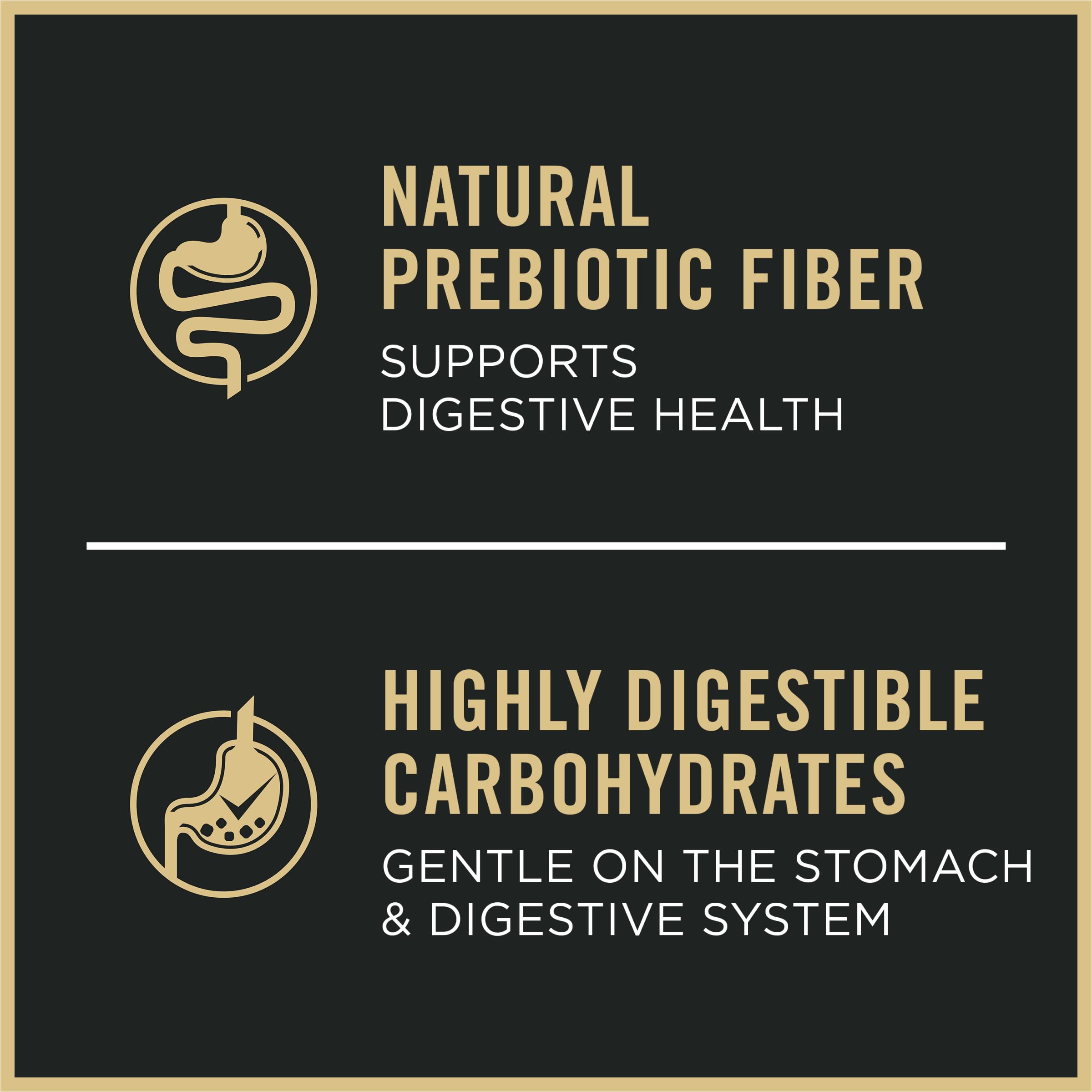 Purina Pro Plan Oat meal texture close-up emphasizes gentle digestibility.