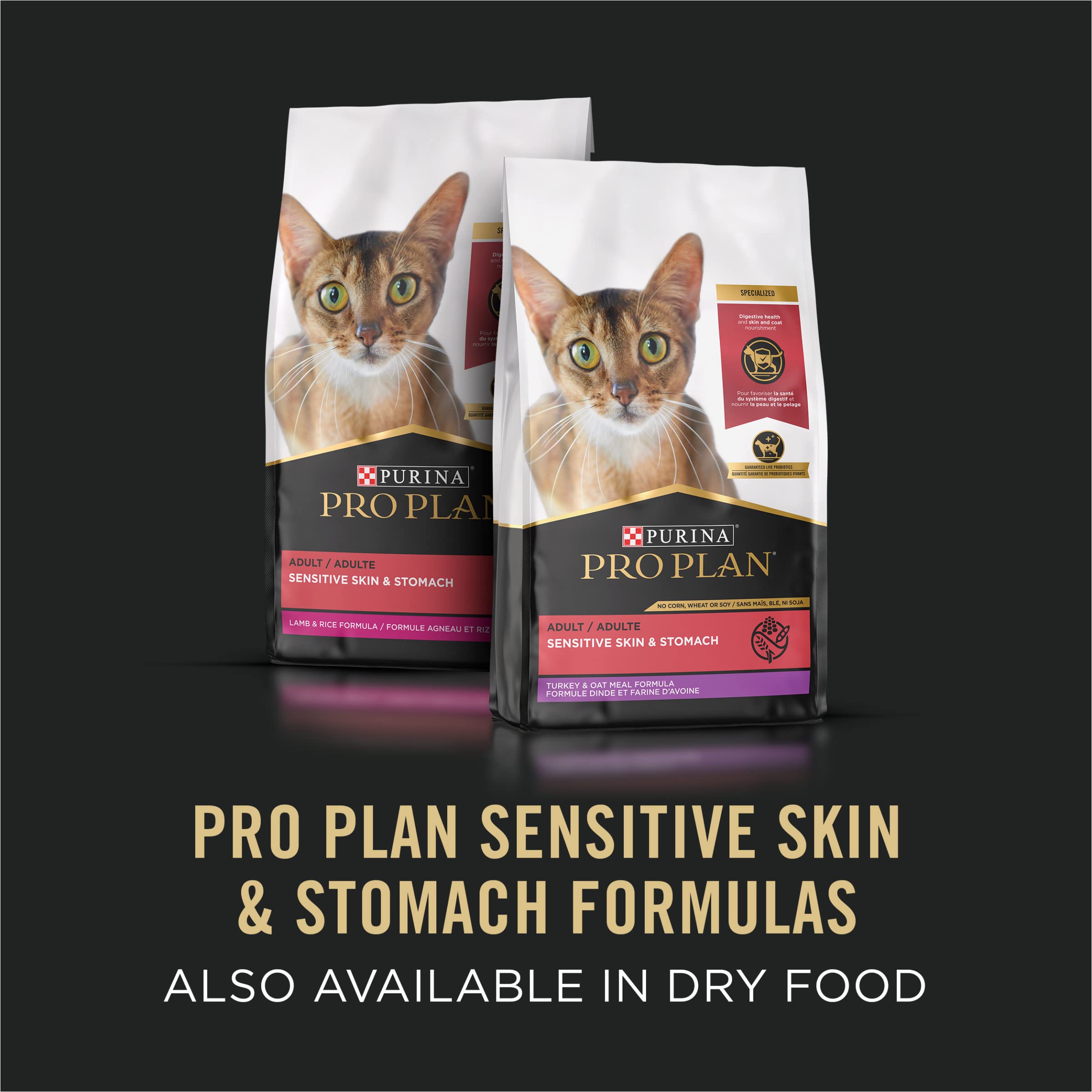 Purina Pro Plan high-protein pate texture close-up.