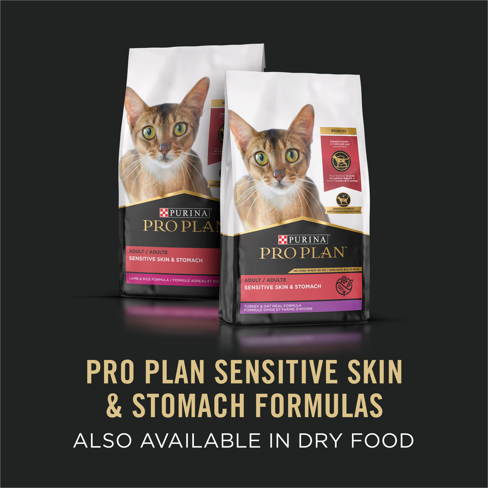 Purina Pro Plan high-protein pate texture close-up.