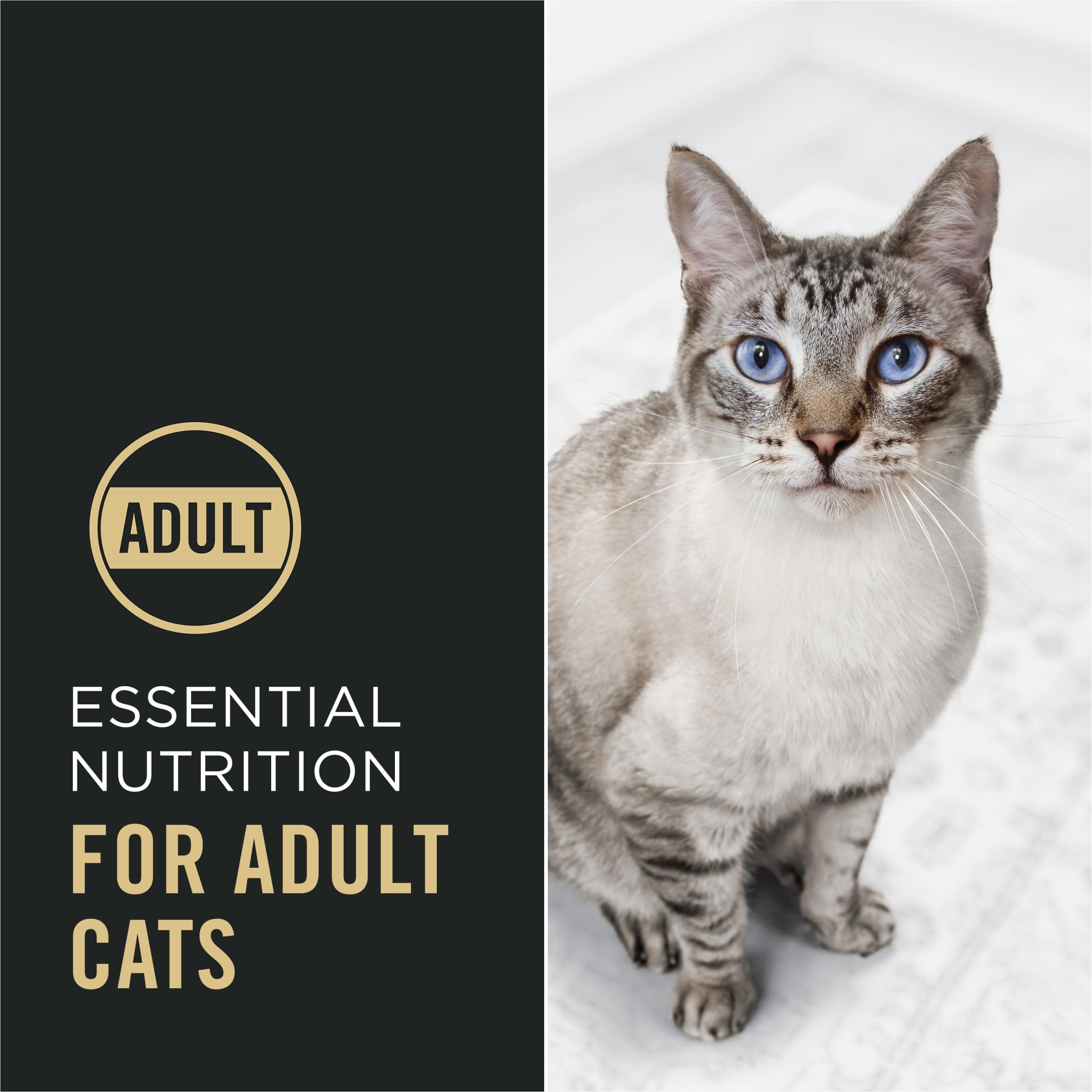 Purina Pro Plan prebiotic-fiber image promotes gut-friendly nourishment