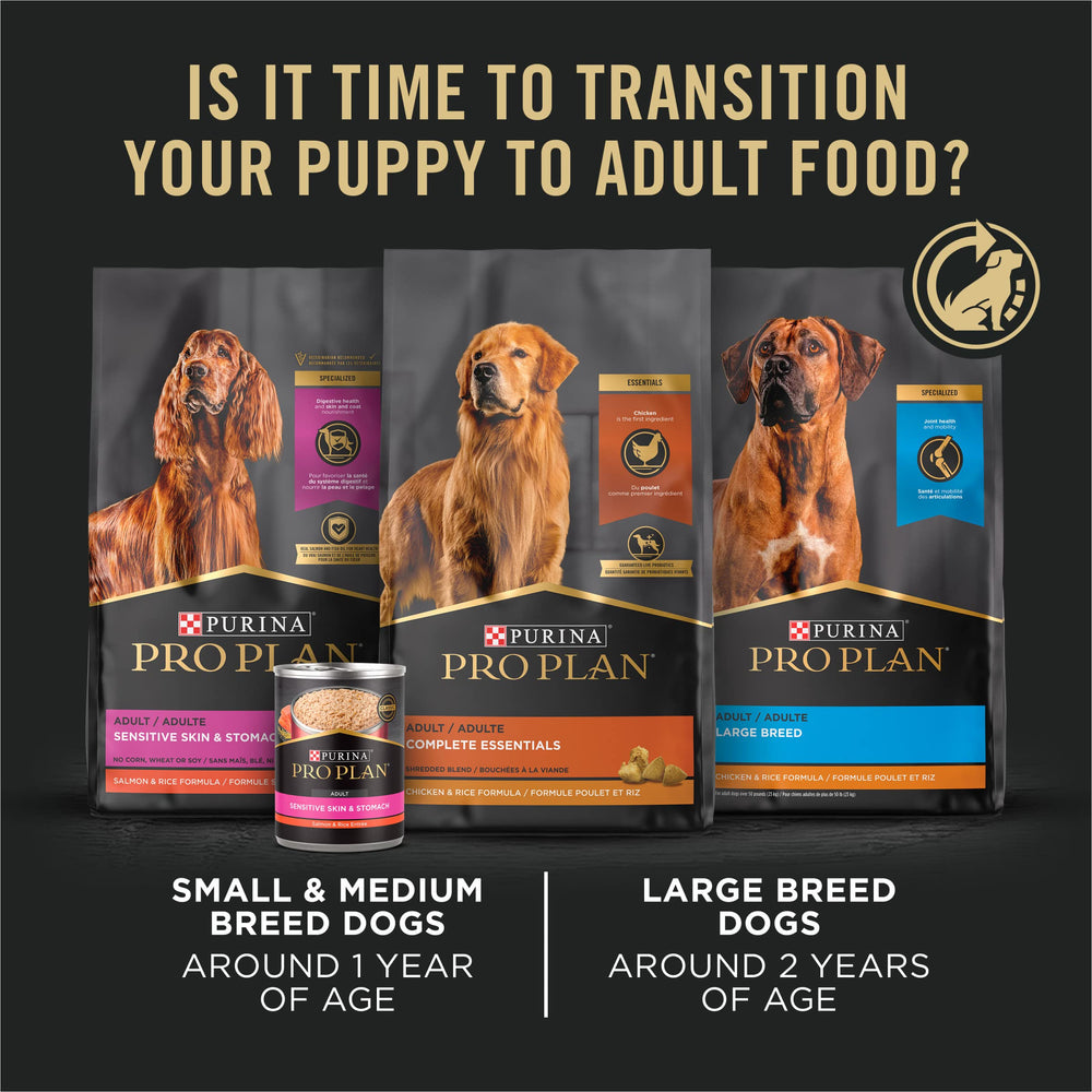 Purina Pro Plan puppy bowl illuminated for daily feeding routine