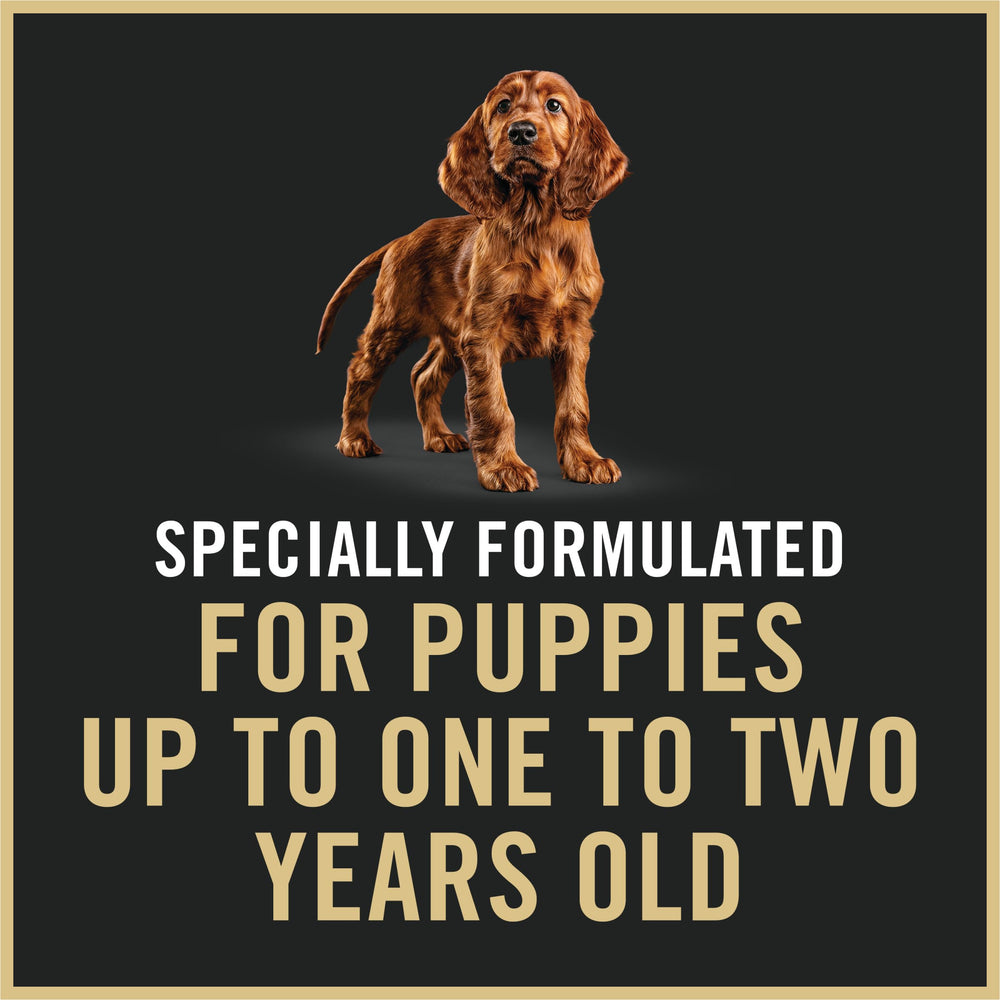Purina Pro Plan Puppy Classic serves as a tasty complete meal in can