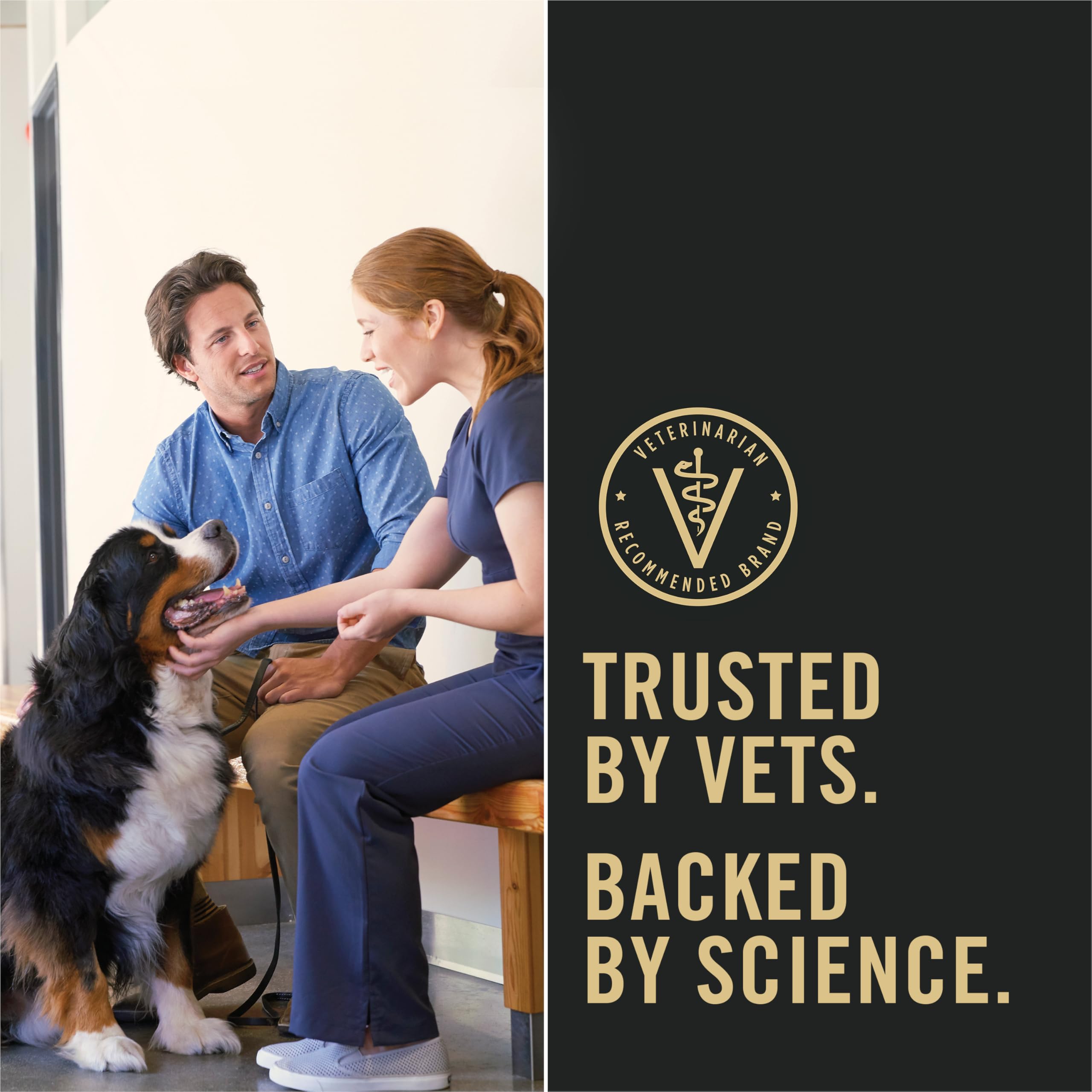 Purina Pro Plan puppy kibble with antioxidants to support developing immune system