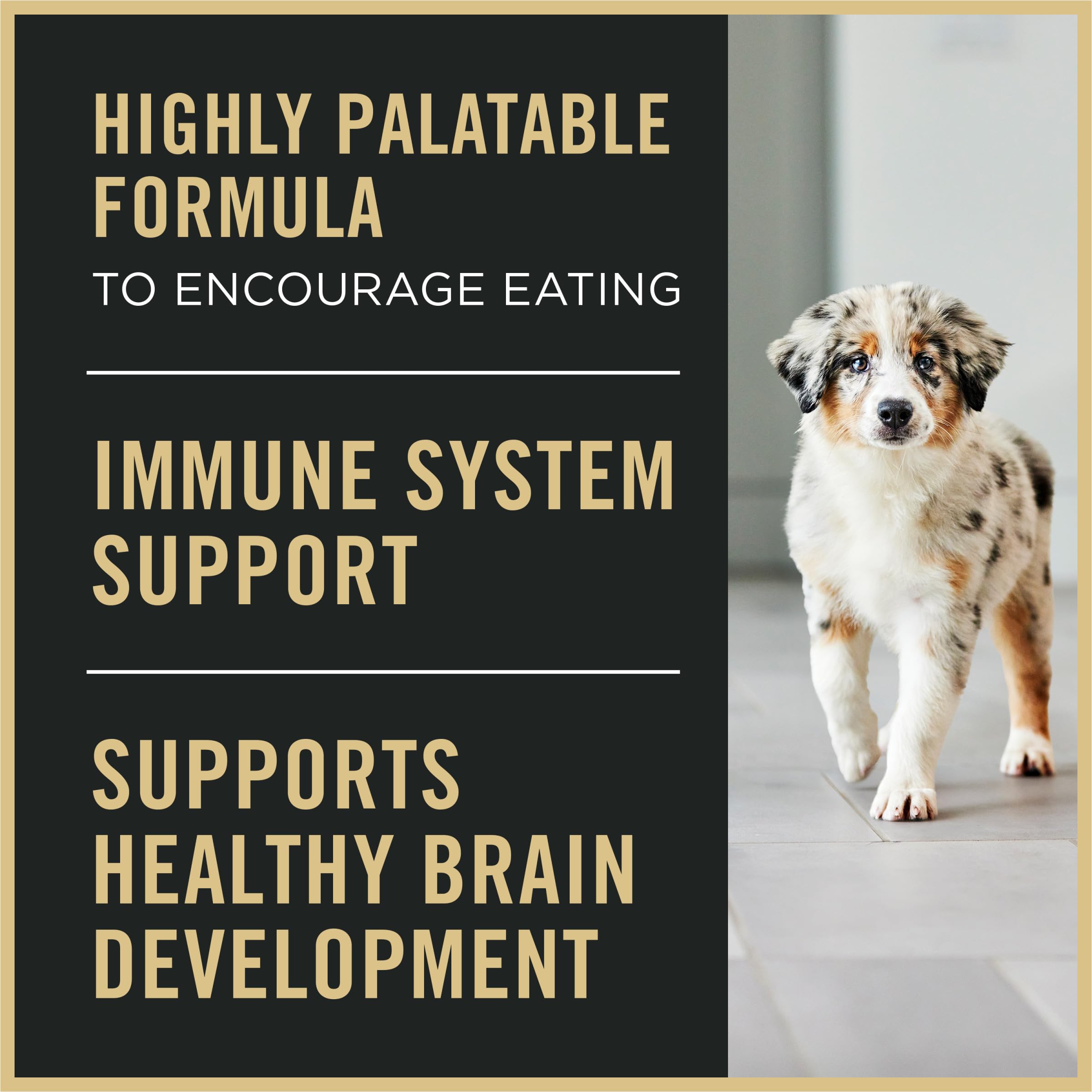 Purina Pro Plan Puppy Starter Mousse in a bowl illustrates easy eating for puppies