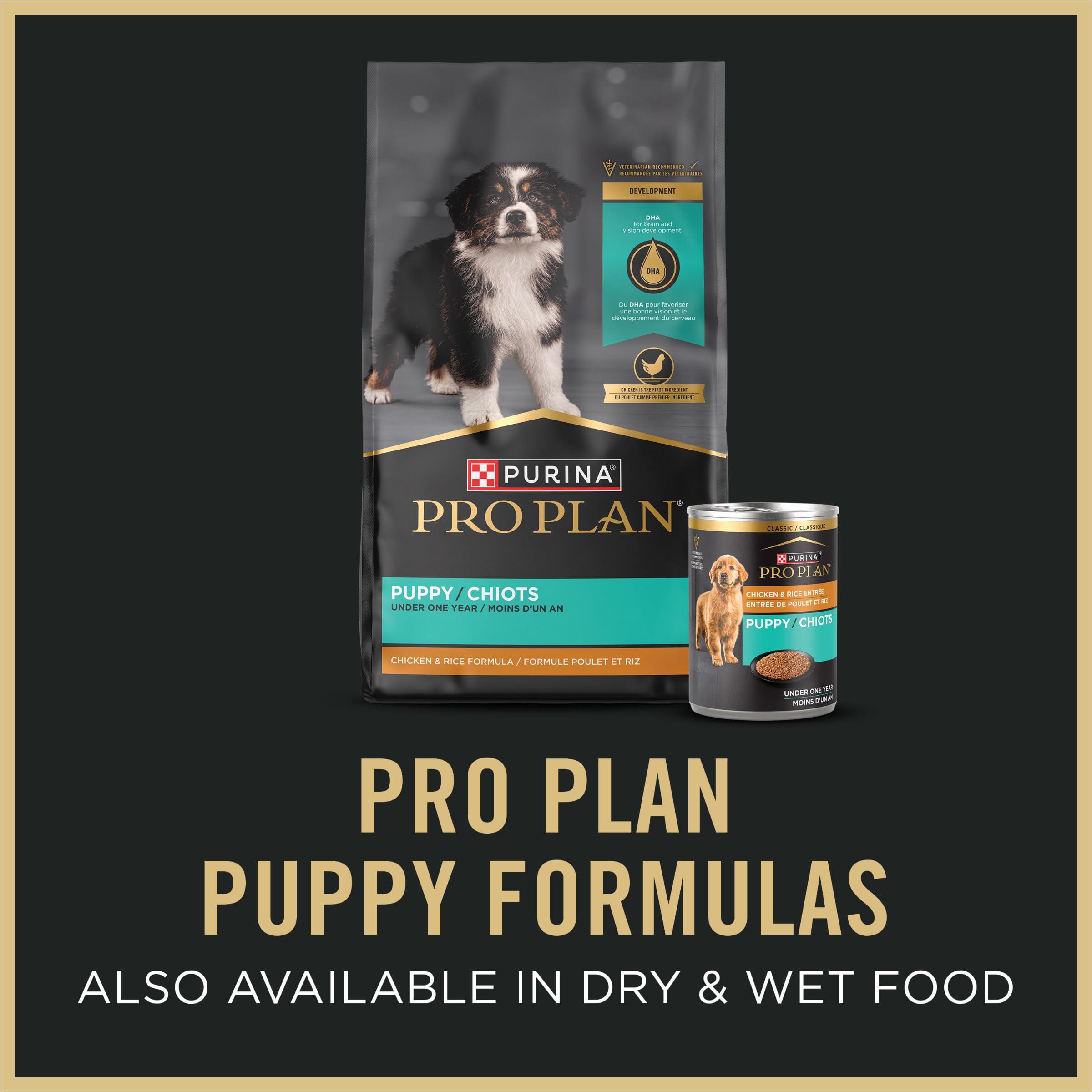 Purina Pro Plan Puppy Starter Mousse wet food close-up highlighting texture