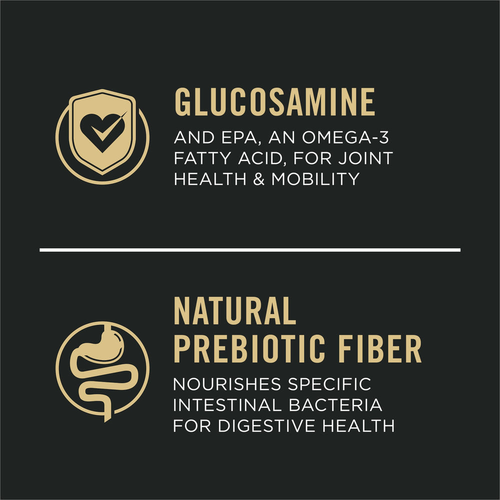 Purina Pro Plan salmon-first ingredient highlight suggesting tasty, high-protein meals for large dogs.