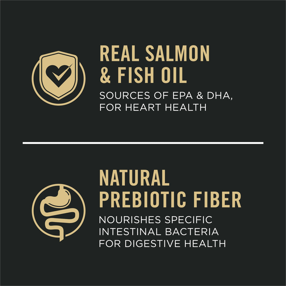 Purina Pro Plan salmon-first recipe emphasizes high-protein nutrition for sensitive dogs.