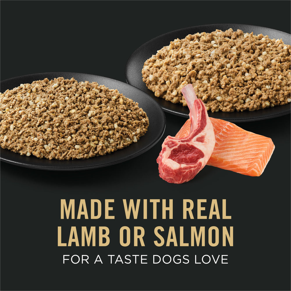 Purina Pro Plan salmon and rice serving bowl showing tasty option for sensitive stomachs