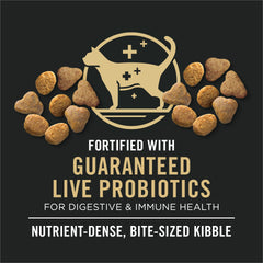 Purina Pro Plan Senior bowl served with kibble sample for seniors.