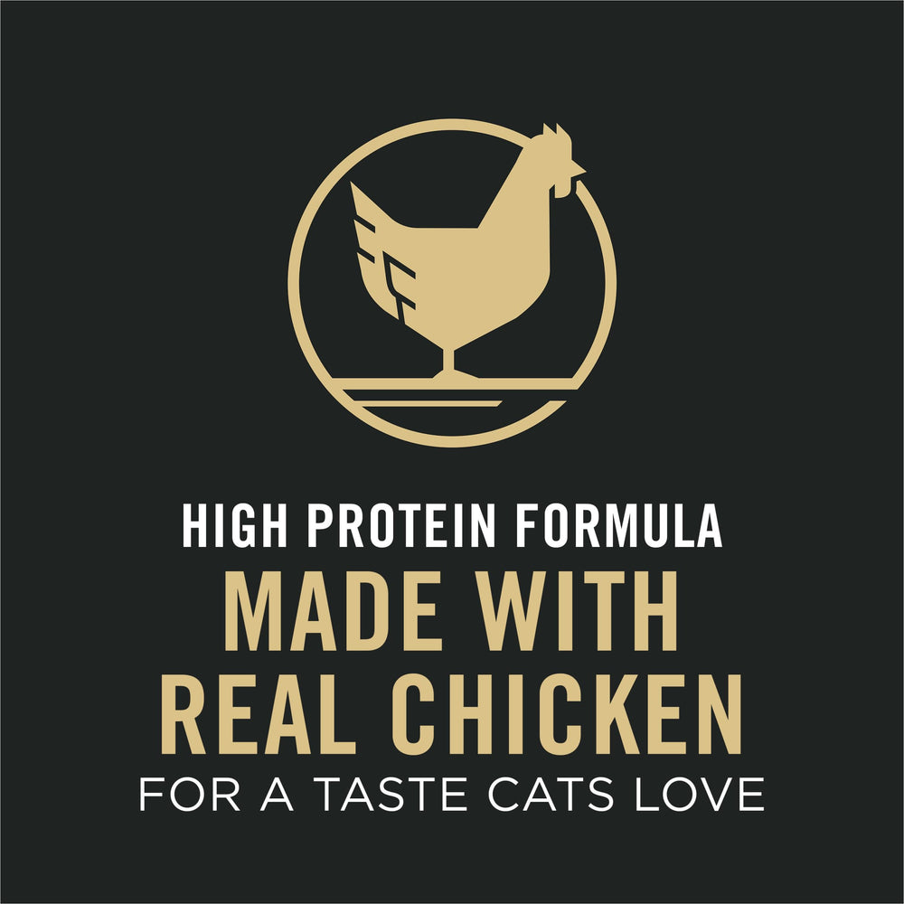 Purina Pro Plan Senior immune support bowl scene emphasizes antioxidants and daily nutrition.