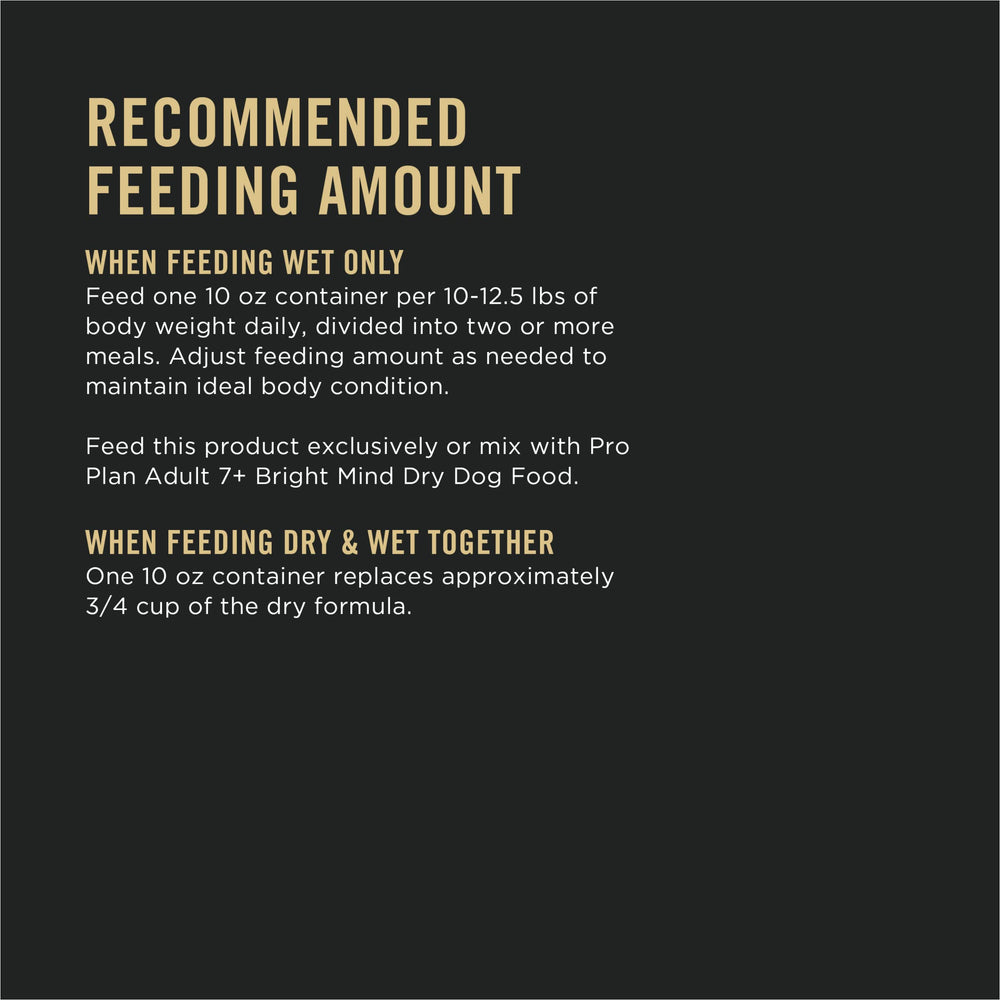 Purina Pro Plan Senior mealtime moment with a happy senior dog enjoying beef and rice entree