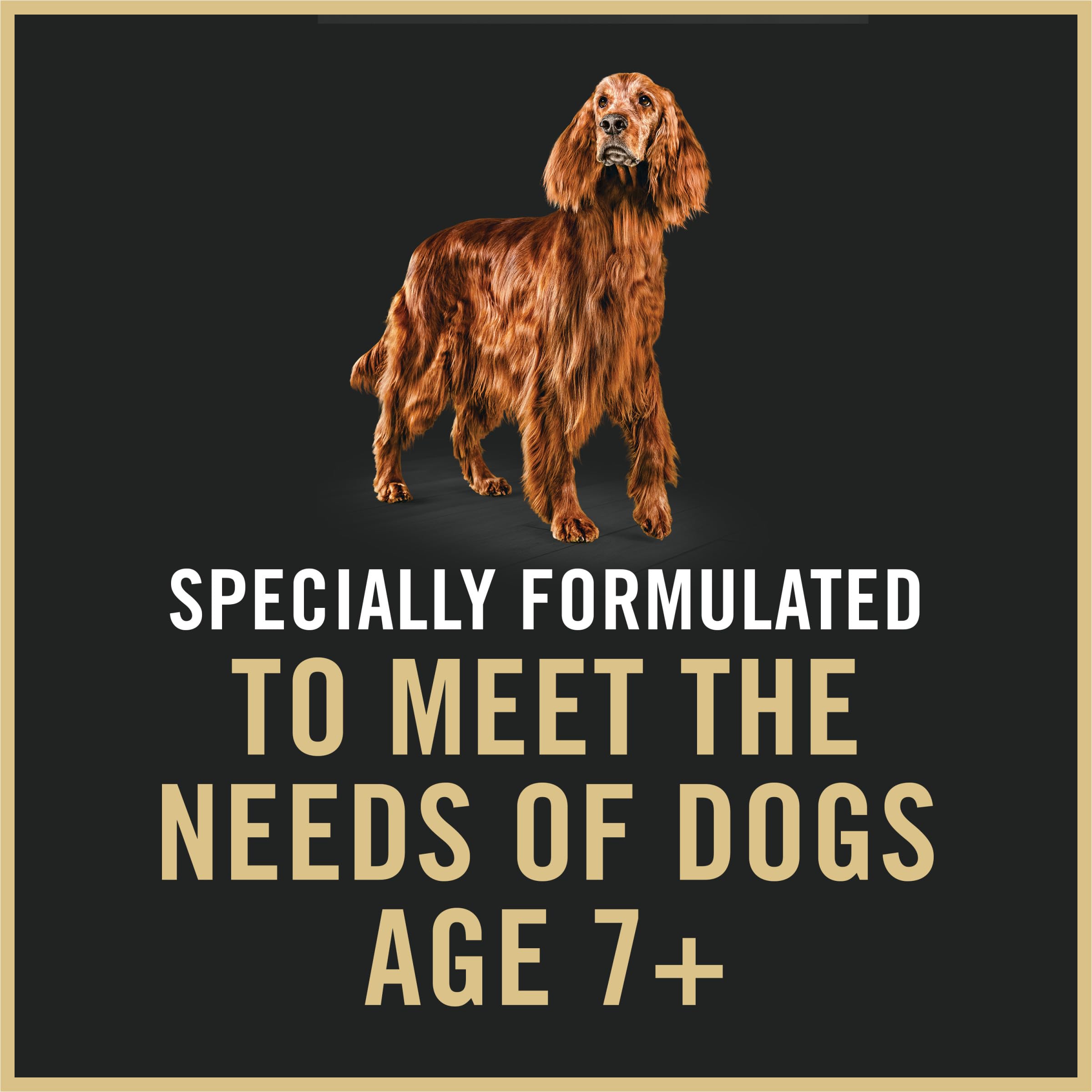 Senior dogs seven plus receive complete and balanced Purina Pro Plan nutrition.