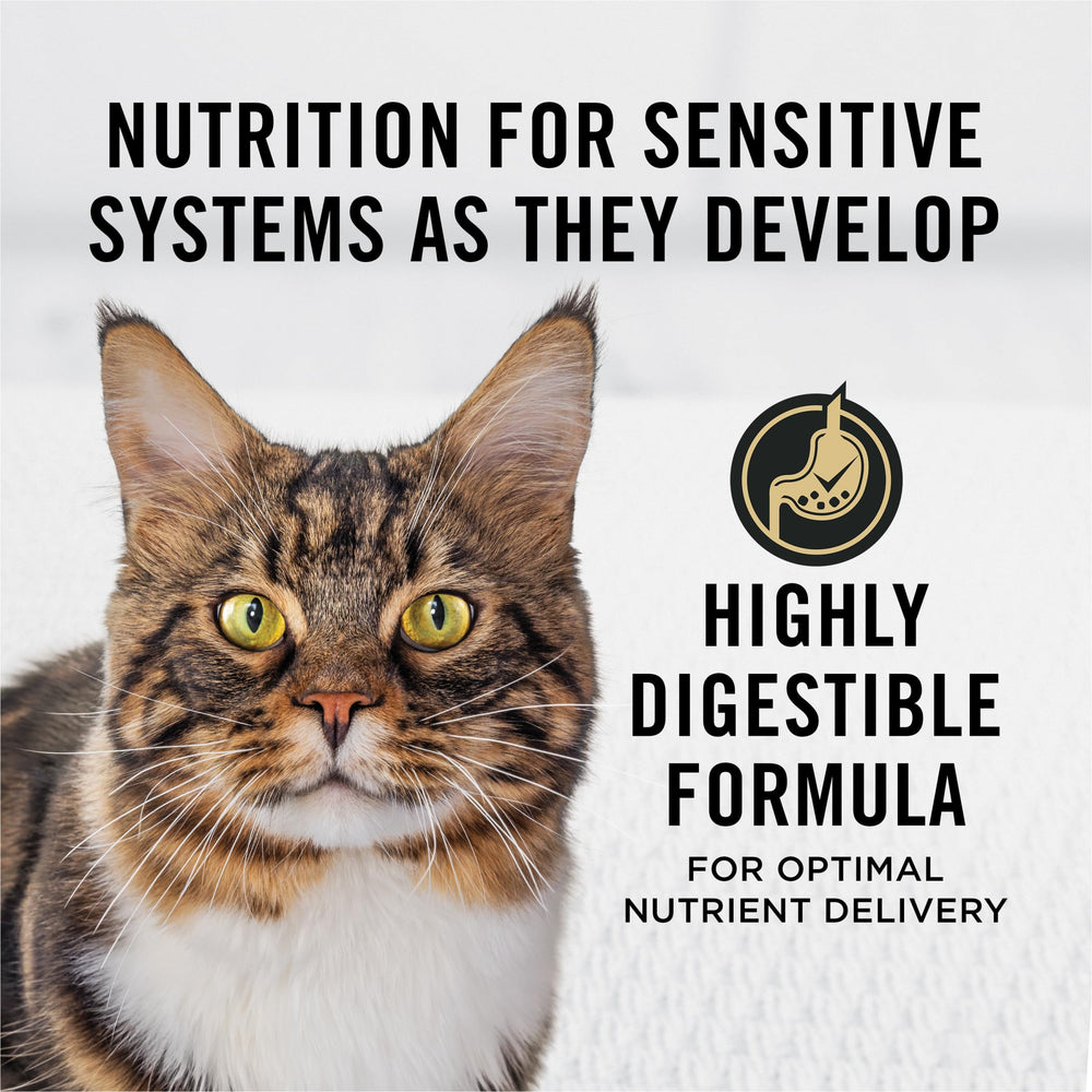 Real salmon first ingredient in Purina Pro Plan cat food showcasing high-protein base