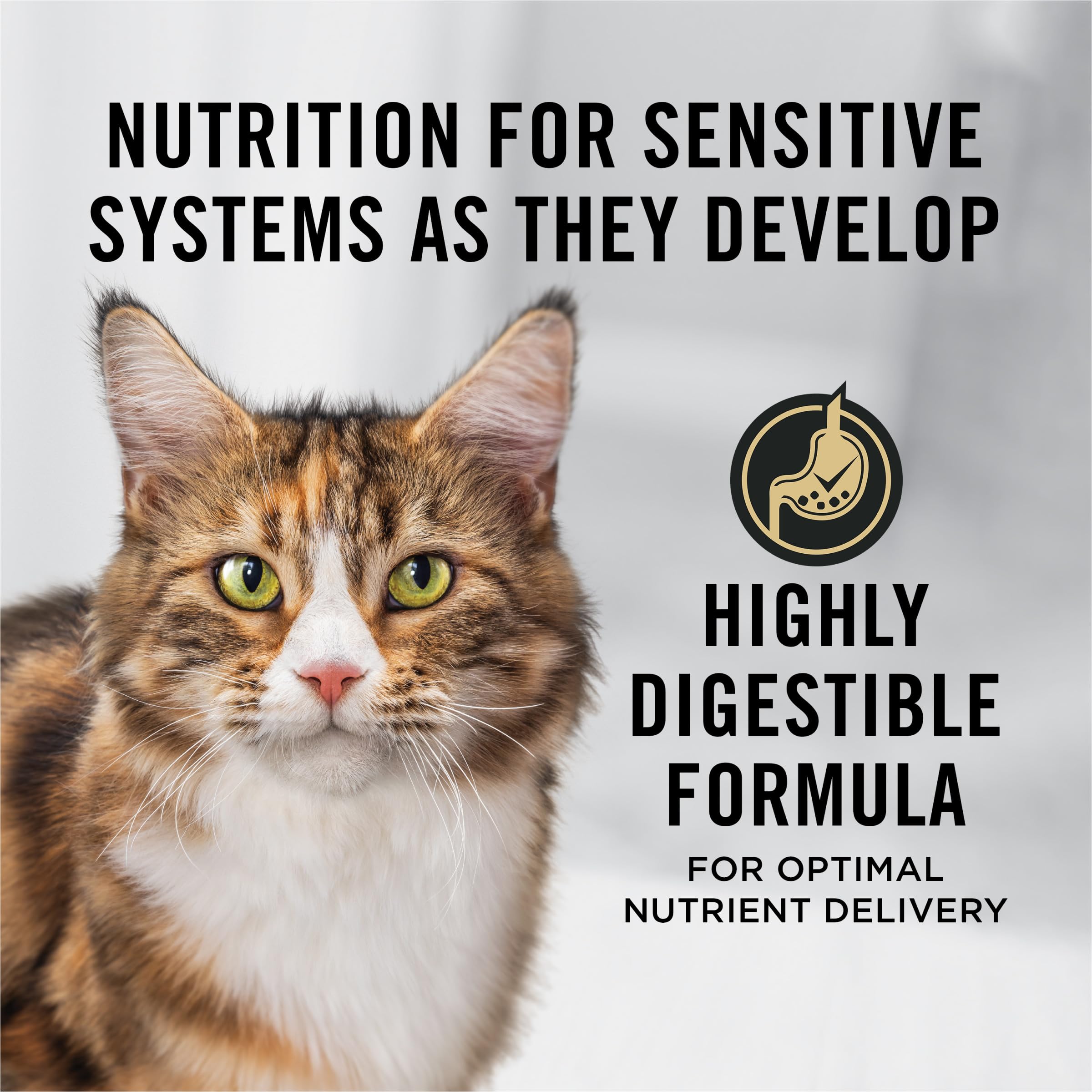 Purina Pro Plan Sensitive Skin and Stomach with real salmon as the first ingredient.