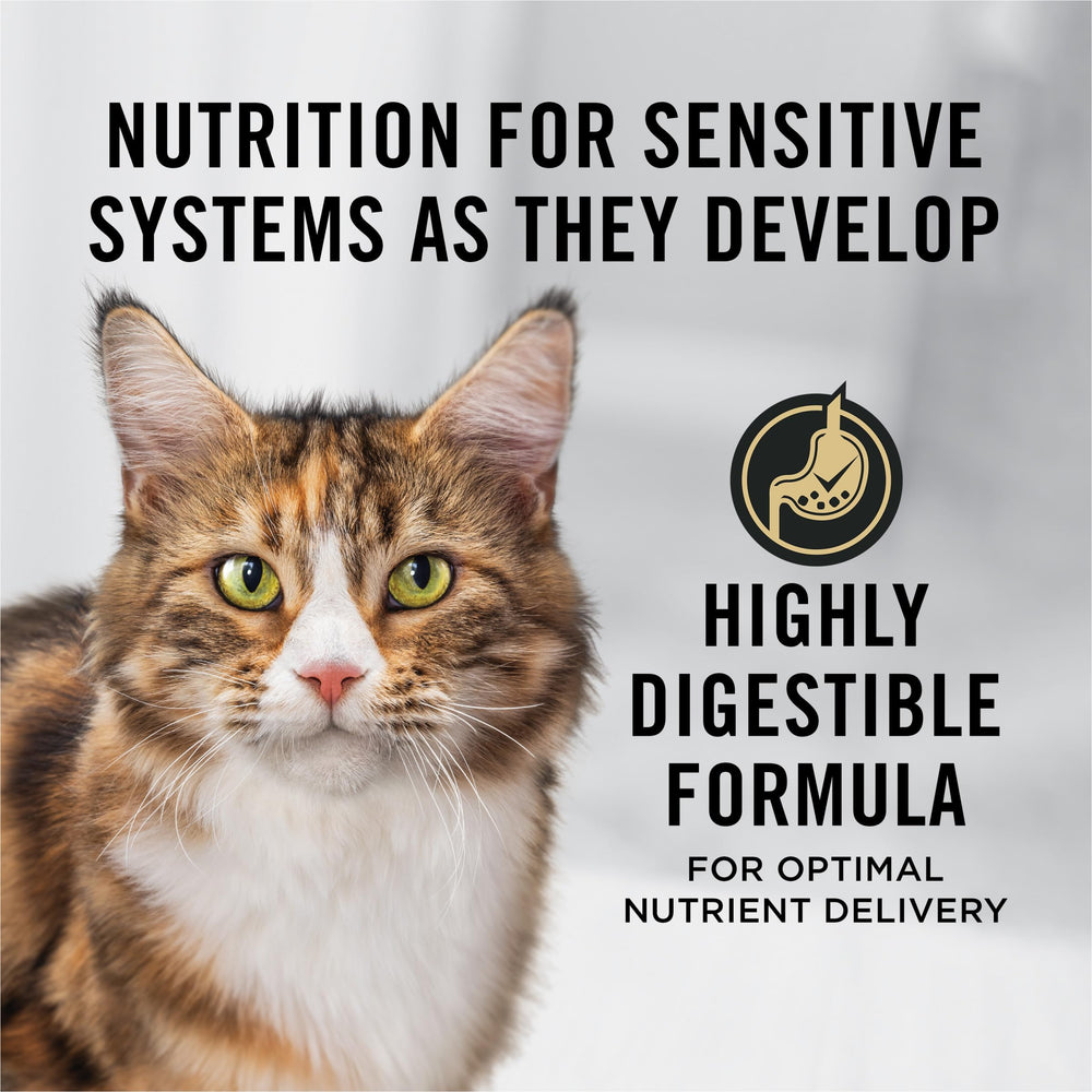 Purina Pro Plan Sensitive Skin and Stomach Senior Cat Food, serving bowl with salmon rice kibble for gentle digestion.