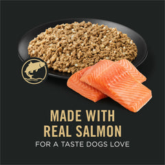 Purina Pro Plan Salmon and Rice Entree texture close-up, showcasing real salmon for appetite appeal.