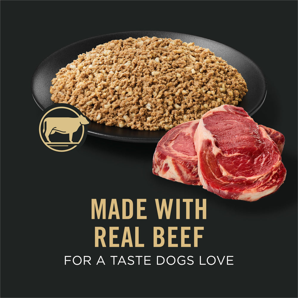 Purina Pro Plan Sensitive Stomach beef pate with oats close-up shows gentle digestion-friendly texture