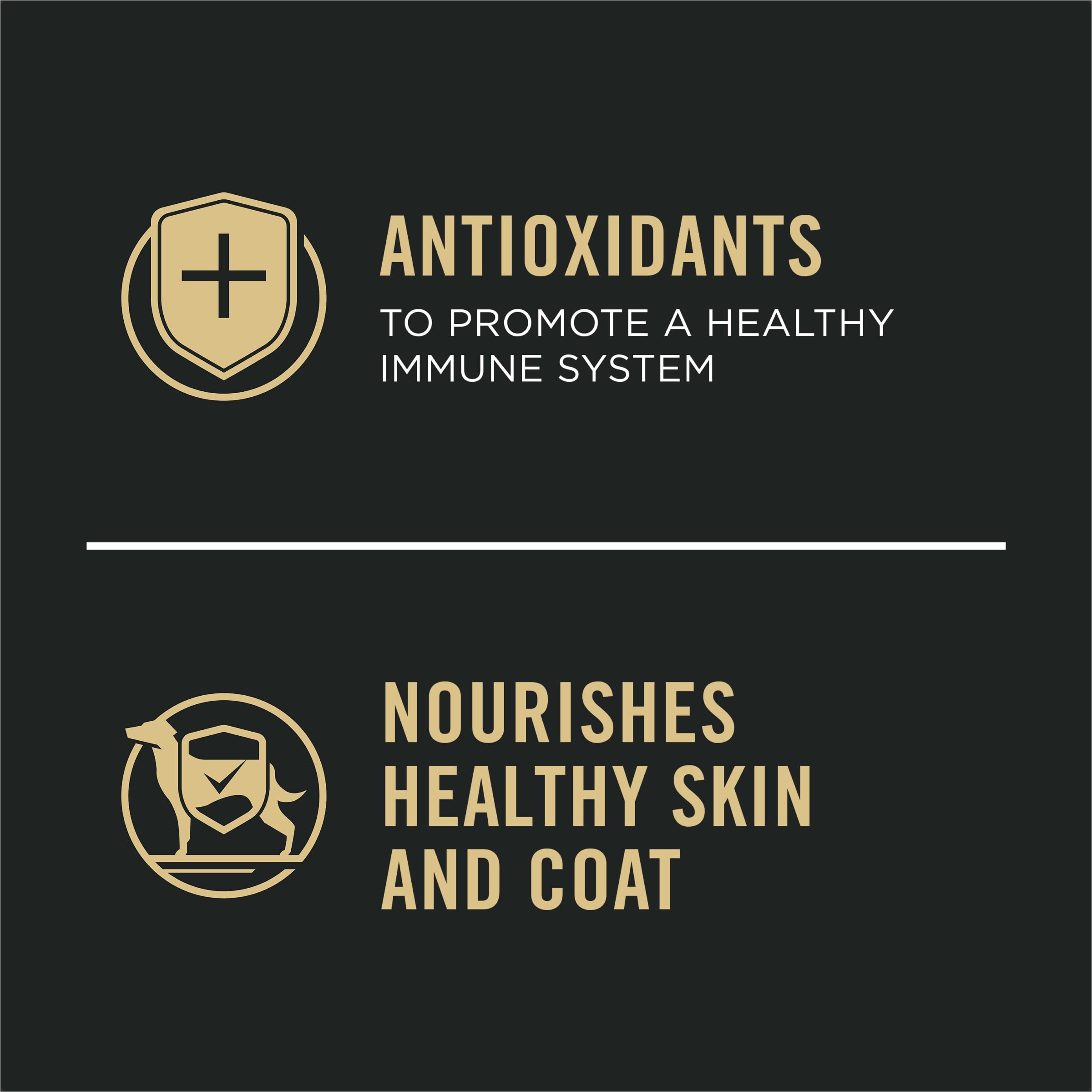 Purina Pro Plan serving idea in bowl suggests tasty meal option.