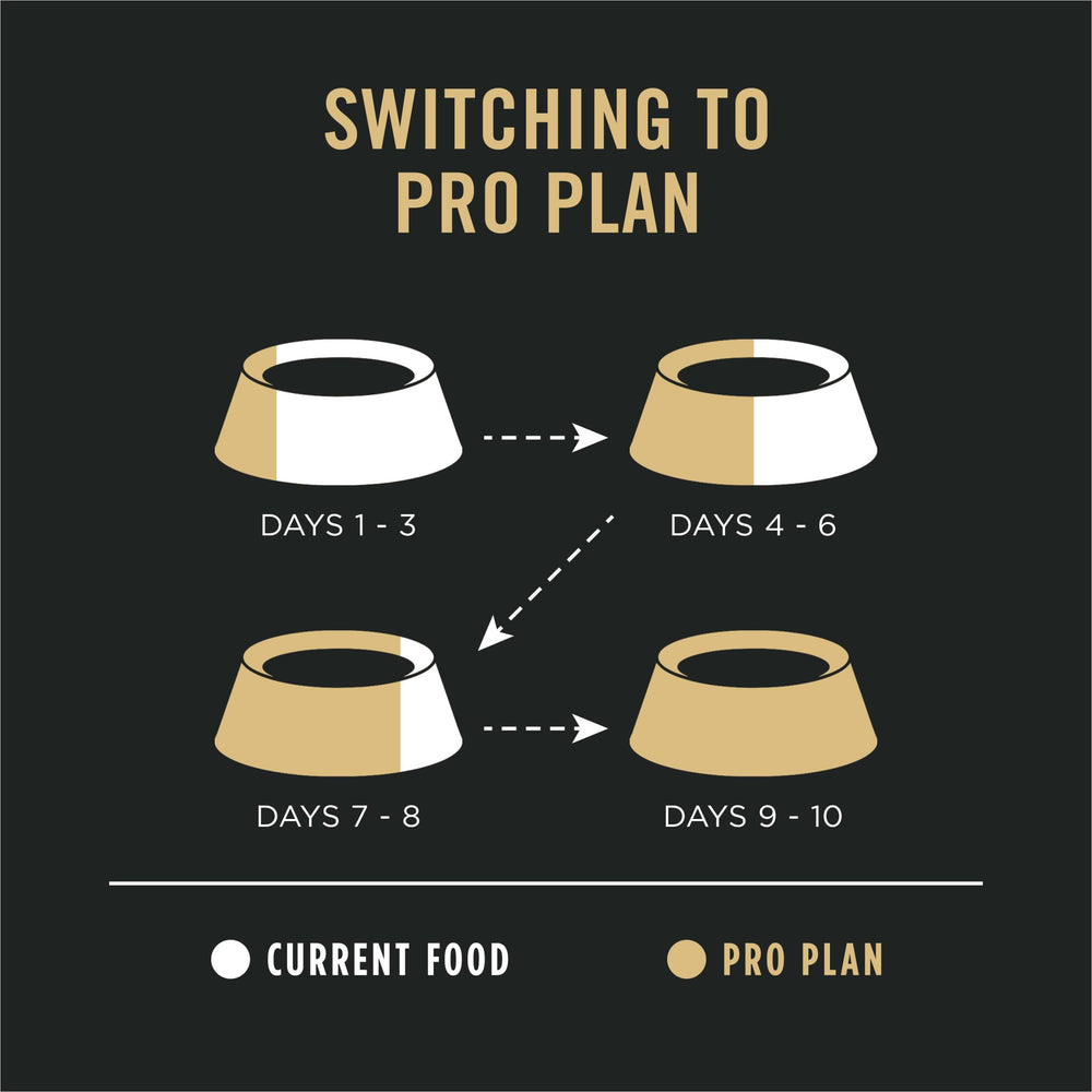Purina Pro Plan serving-time image of a dog enjoying a meal.