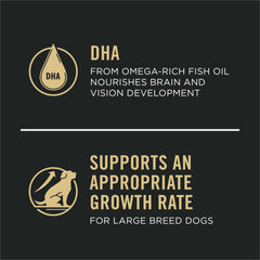 Purina Pro Plan skin and coat nourishment with omega-6 supports healthy fur and skin.