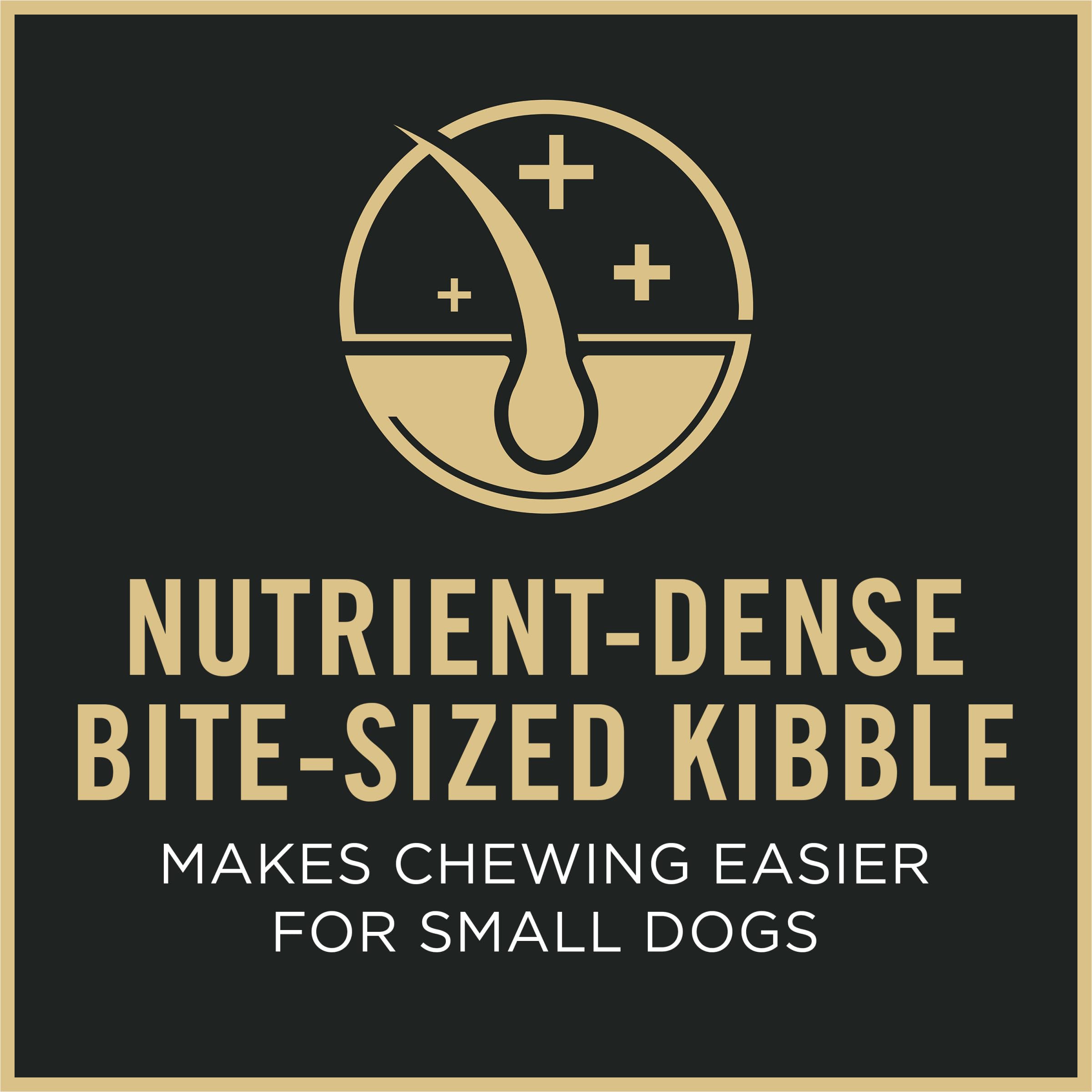 Purina Pro Plan Small Breed bag front label highlights senior formula.