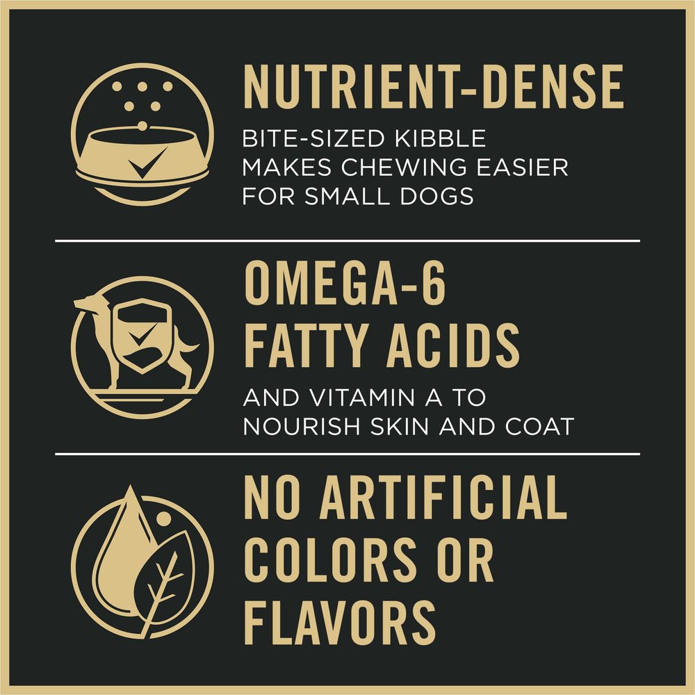 Purina Pro Plan Small Breed bite-sized kibble shows easy chewing.