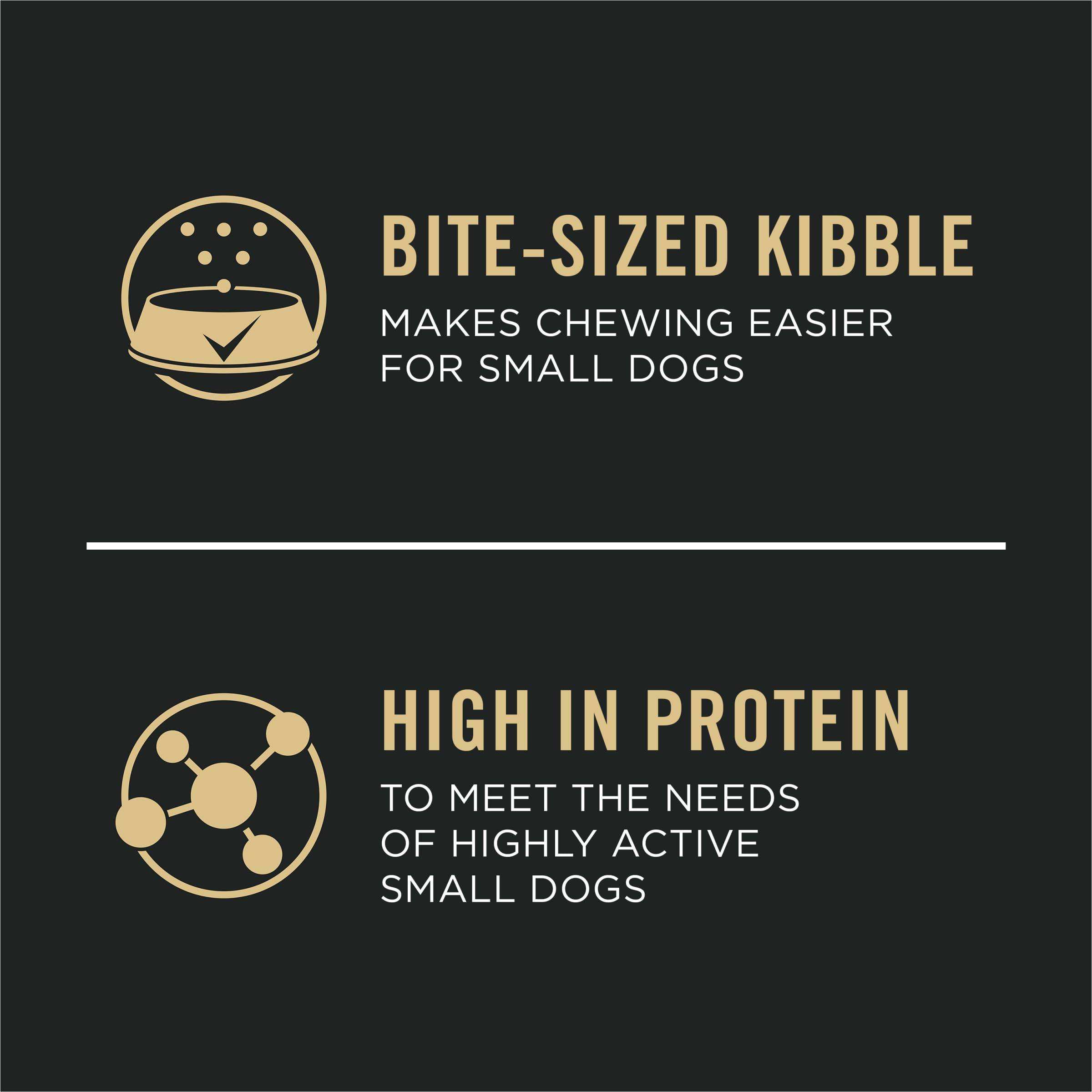 Purina Pro Plan small-breed puppy kibble close-up showing bite-size texture