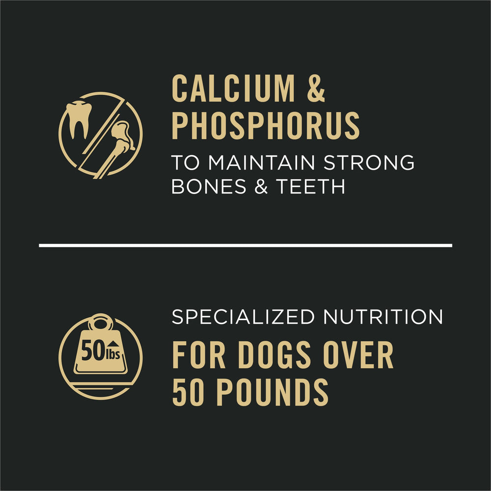 Purina Pro Plan Specialized Large Breed 12-pack packaging shown for large dogs.
