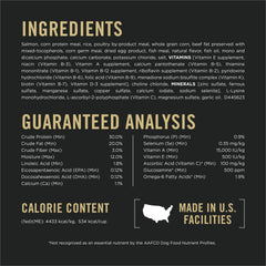 Purina Pro Plan Sport 30/20 active dog in motion reflects endurance benefits.