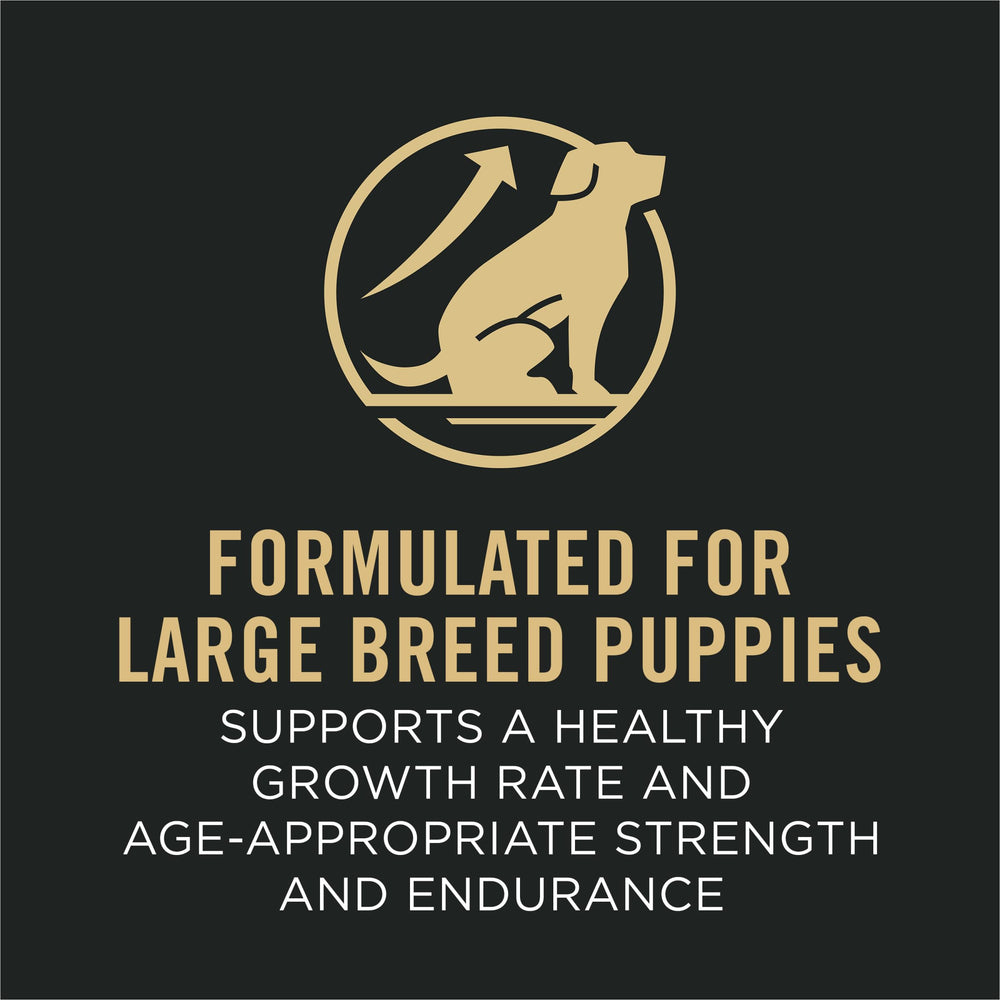 Purina Pro Plan Sport Development bag back shows calcium, phosphorus, vitamins for bone growth.