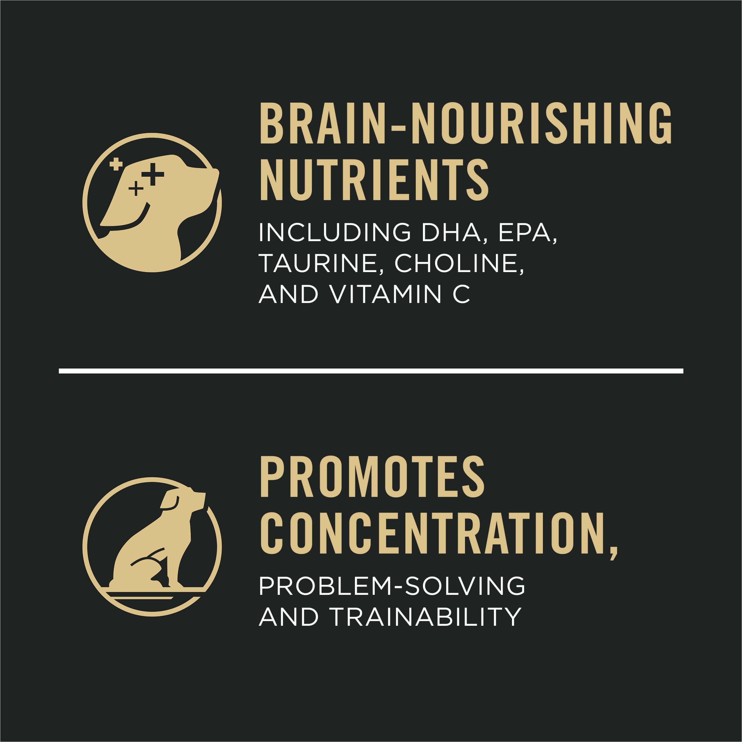 Purina Pro Plan Sport Development Large Breed Puppy kibble close-up reveals protein-rich bites.