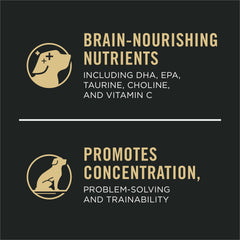 Purina Pro Plan Sport Development Large Breed Puppy kibble close-up reveals protein-rich bites.