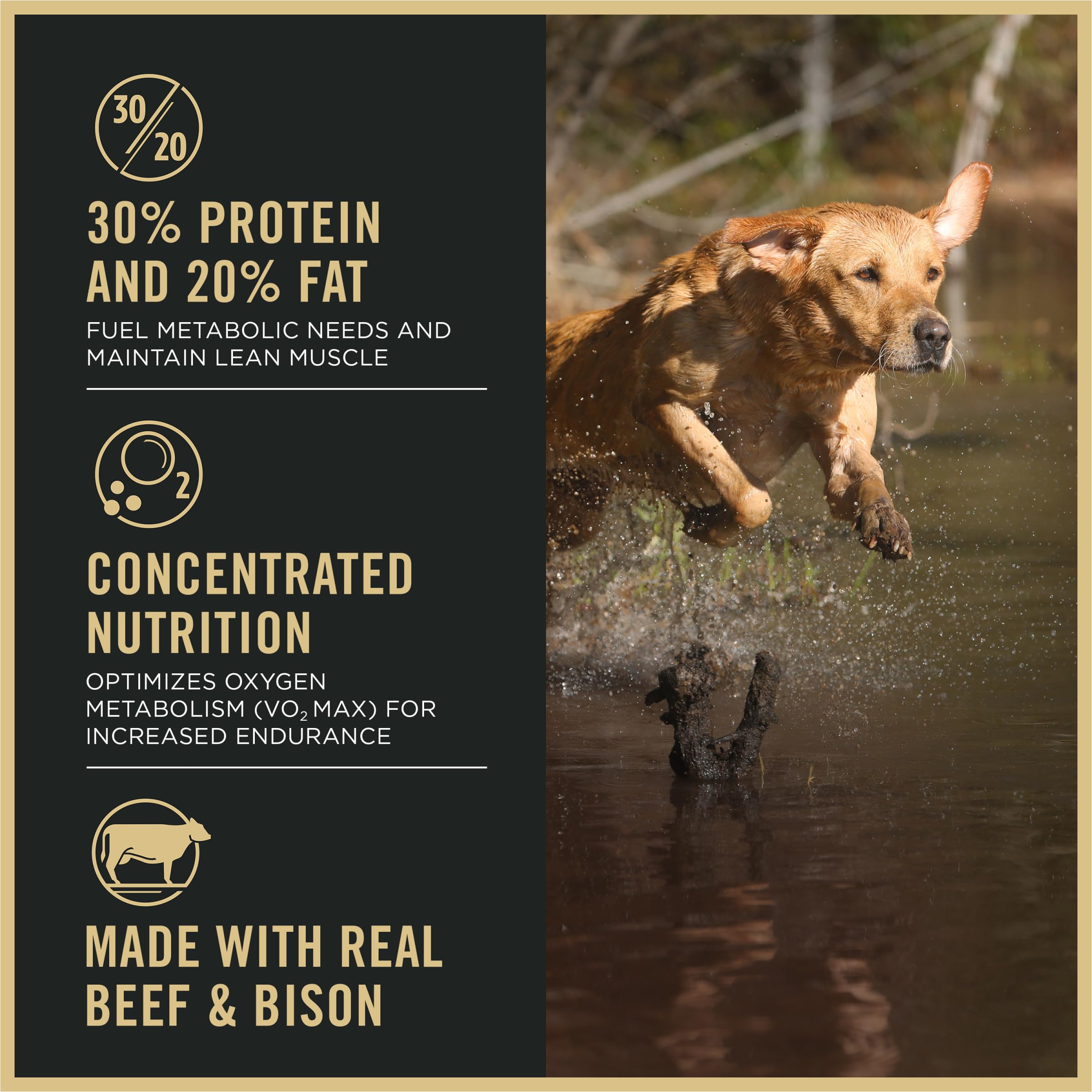 Purina Pro Plan Sport high-protein formula 30/20 supports energy for active dogs.