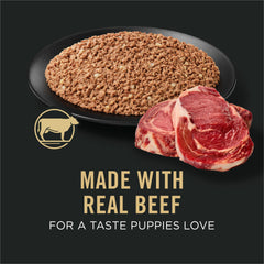 Purina Pro Plan Sport high-protein puppy beef and rice entree can shown with 12-pack display.